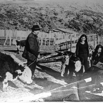 Familia Sierra Viveros