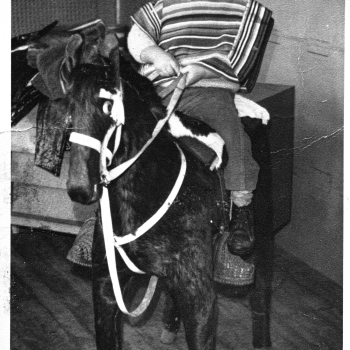 Niño a caballo de palo.