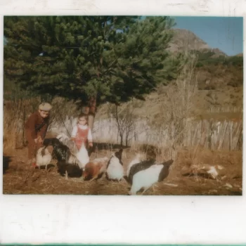 Niños alimentando gallinas
