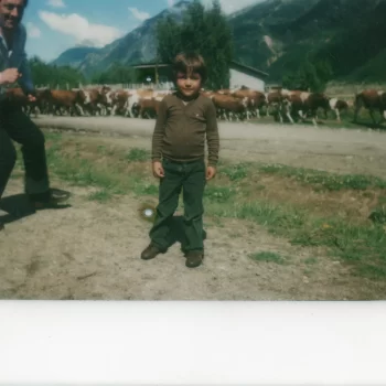 Niño y tropa de vacas